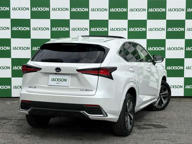 Lexus NX 4