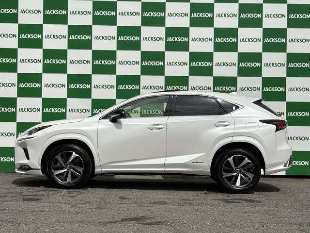 Lexus NX 6