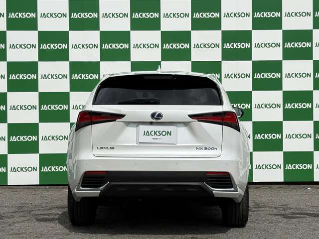 Lexus NX 8