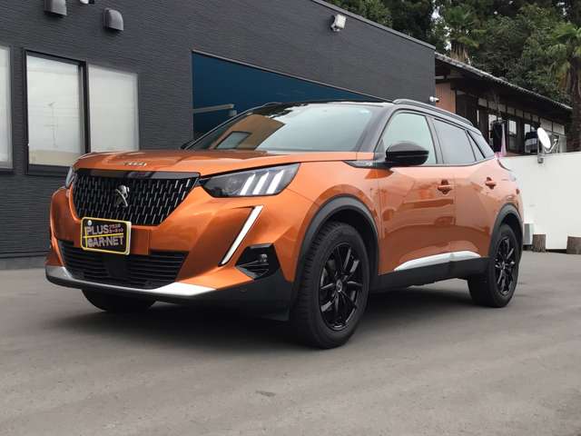 Peugeot SUV 2008 11