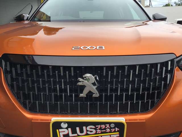 Peugeot SUV 2008 5
