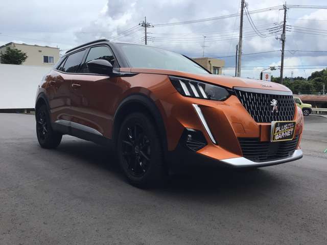 Peugeot SUV 2008 6