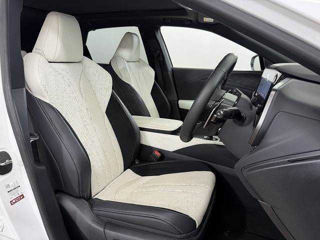 Lexus RX 11