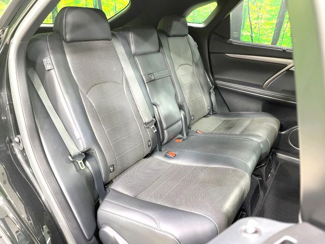Lexus RX 11