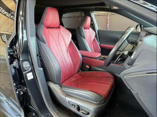 Lexus RX 11