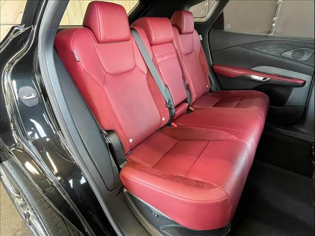 Lexus RX 12