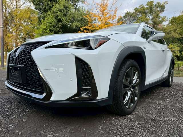 Lexus UX 8