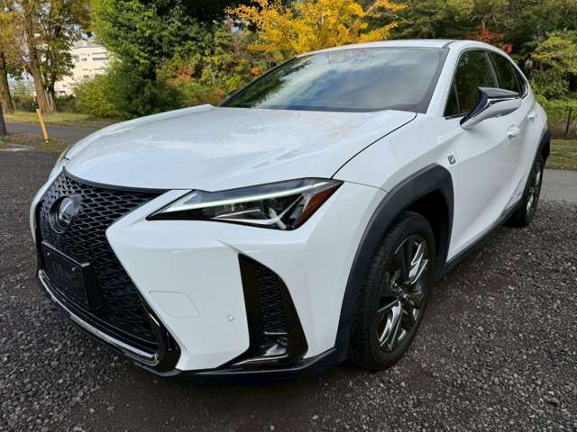 Lexus UX 9