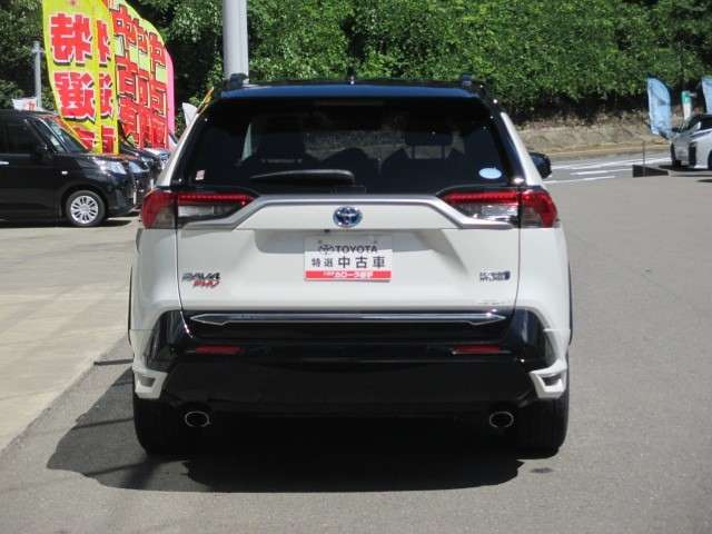 Toyota RAV4 PHV 6