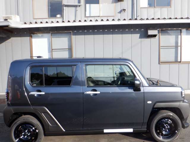 Daihatsu Taft 10