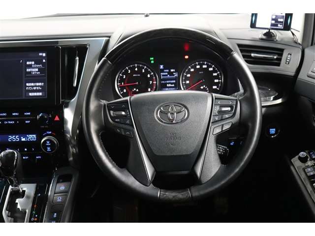 Toyota Alphard 9