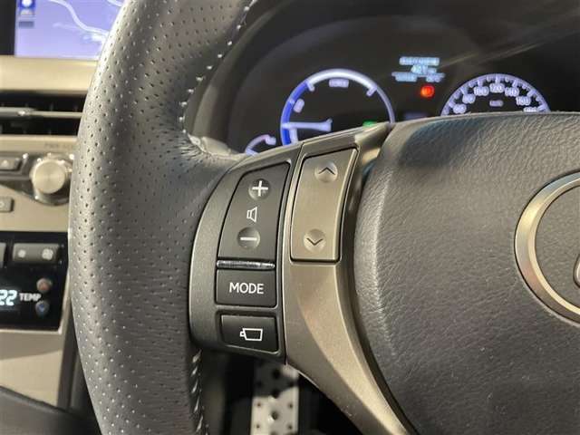 Lexus RX Hybrid 8