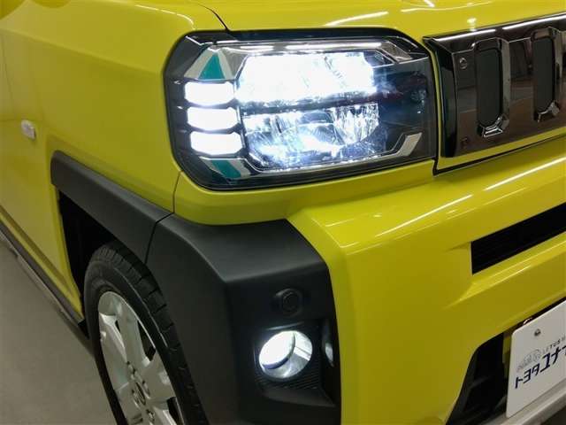 Daihatsu Taft 9