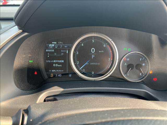 Lexus RX 11