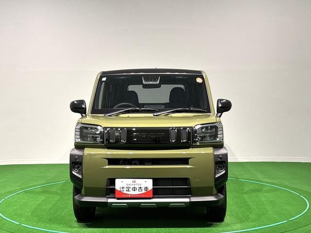 Daihatsu Taft 6