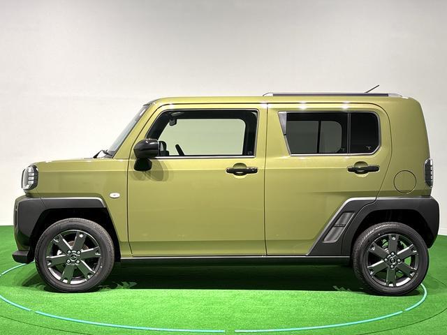 Daihatsu Taft 8