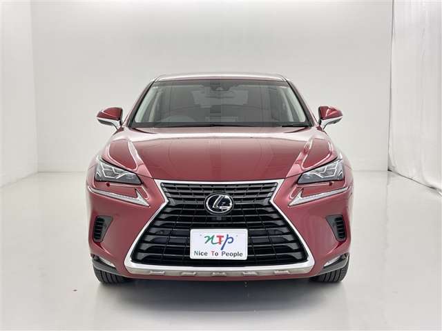 Lexus NX 4