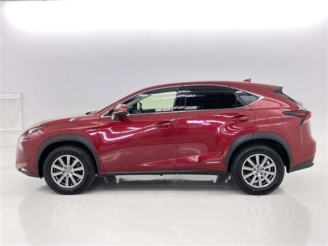 Lexus NX 5