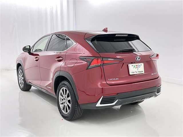 Lexus NX 6