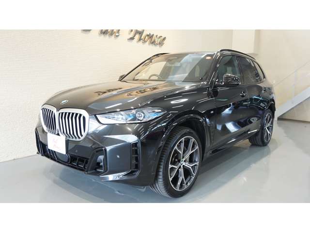 BMW X5 11