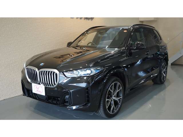 BMW X5 6