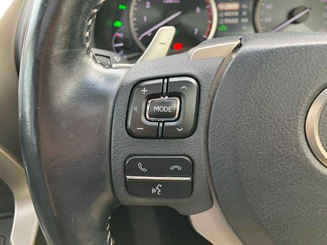 Lexus NX 12