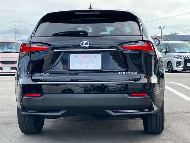 Lexus NX 6