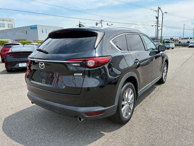 Mazda CX-8 11