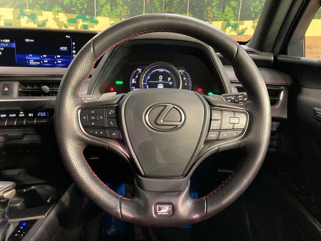 Lexus UX 11