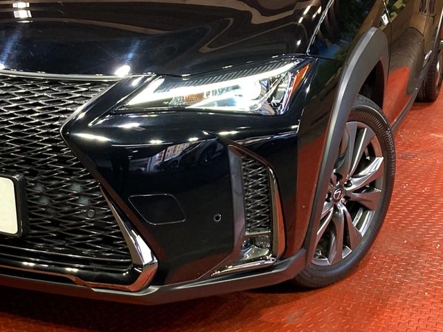 Lexus UX 12