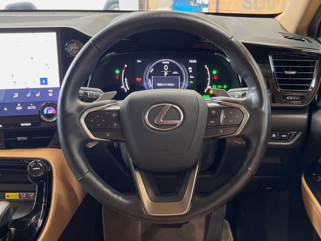 Lexus NX 11