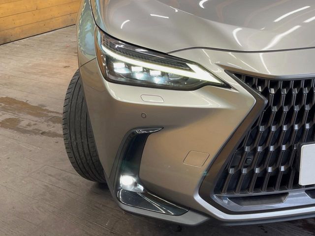 Lexus NX 12