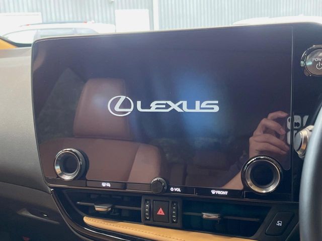 Lexus NX 4