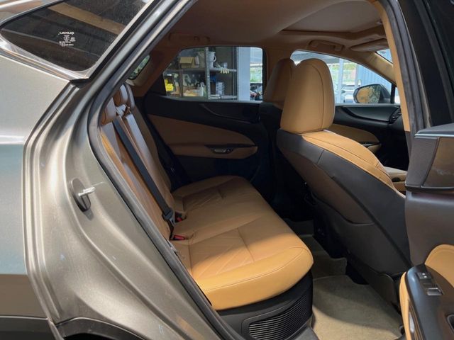Lexus NX 9