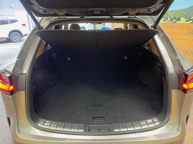 Lexus NX 10