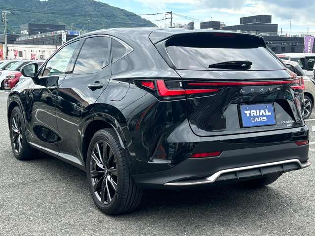 Lexus NX 11