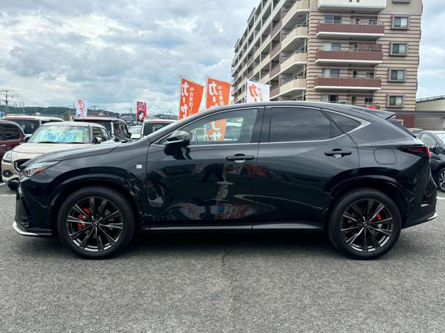 Lexus NX 12