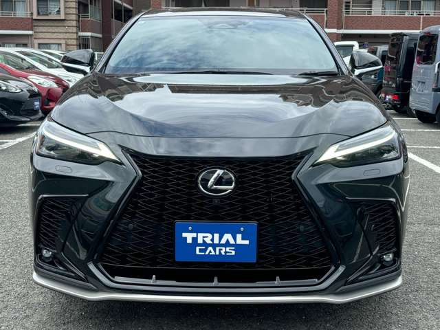 Lexus NX 6