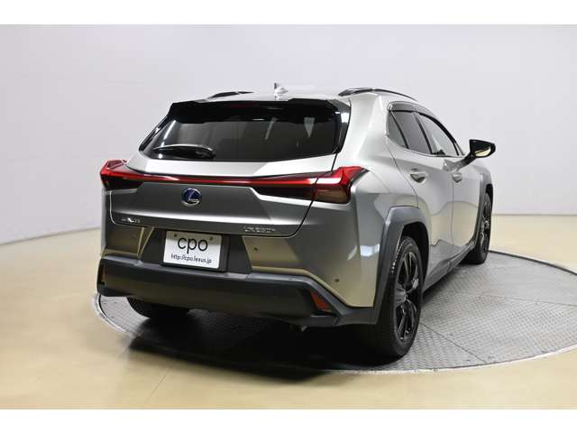 Lexus UX 6