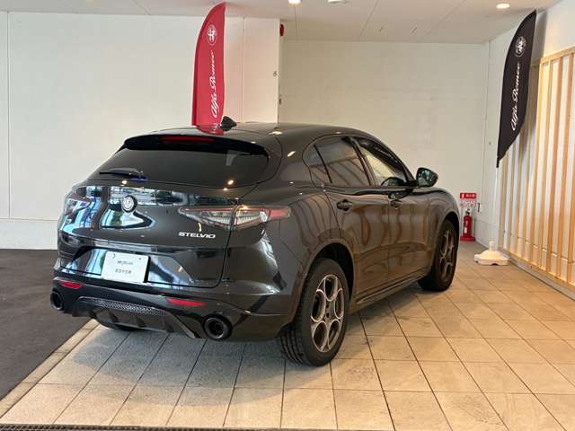 Alfa Romeo Stelvio 5