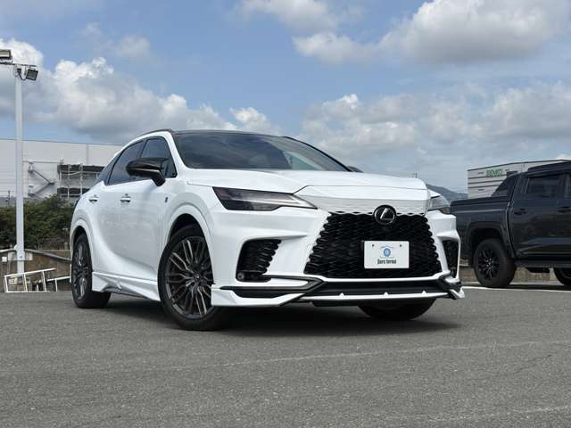 Lexus RX 11