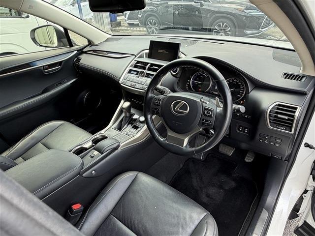 Lexus NX 11