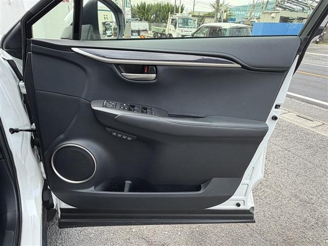 Lexus NX 12