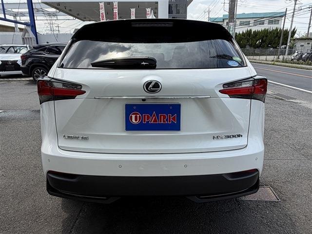 Lexus NX 8