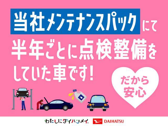 Daihatsu Taft 5