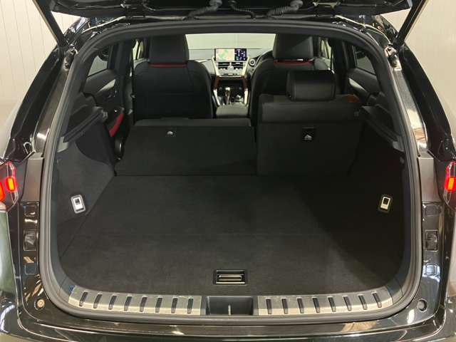 Lexus NX 11