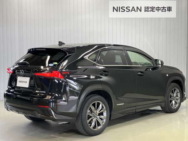 Lexus NX 4