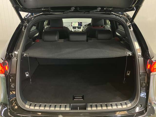 Lexus NX 9