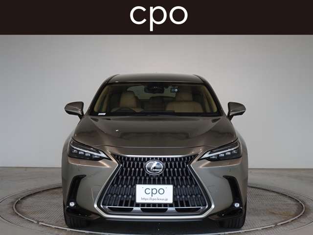Lexus NX 5