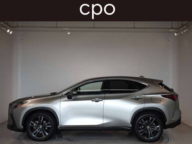 Lexus NX 6